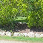 Golfplatz GC Grado